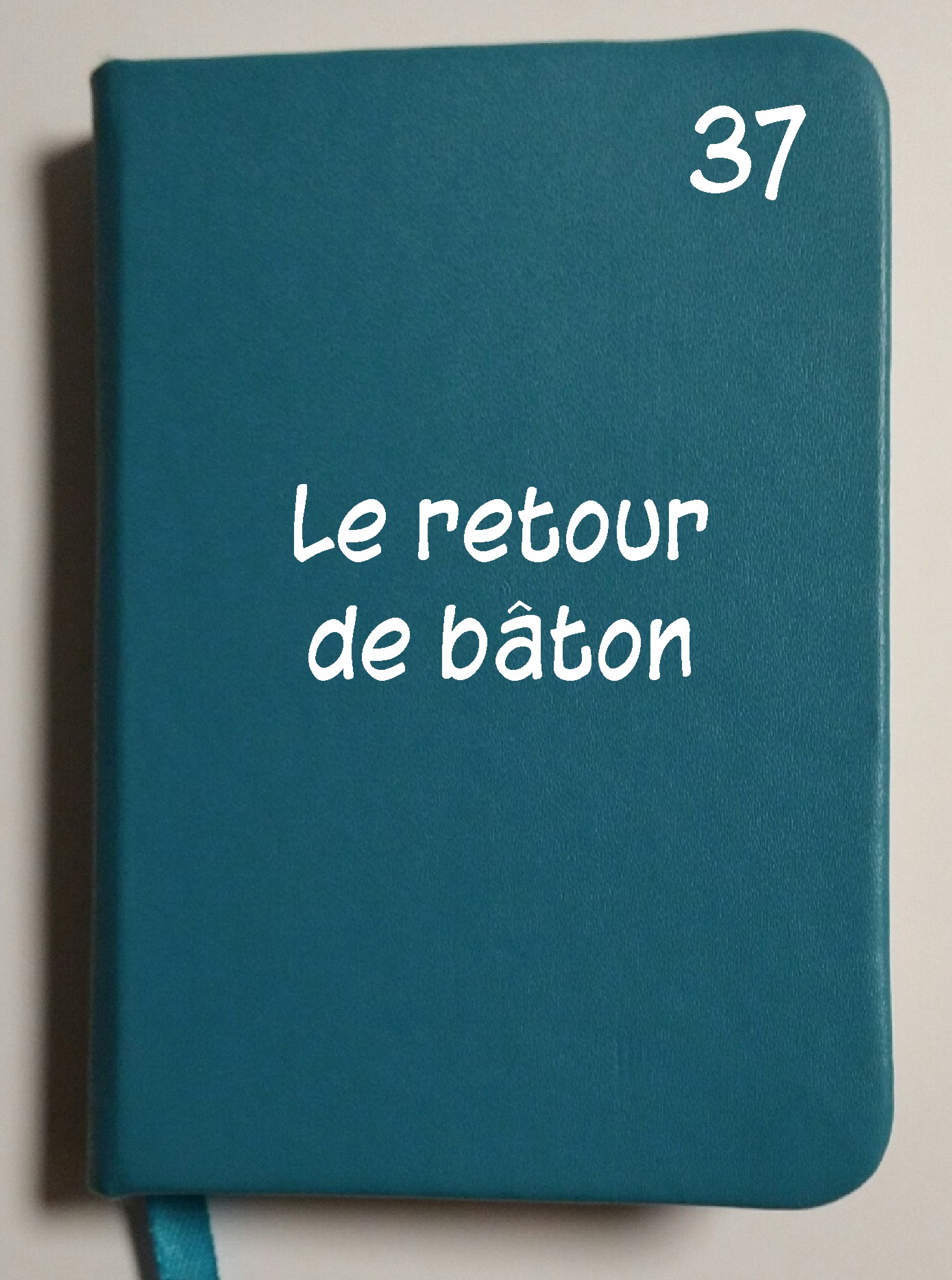 Carnet 37 - Le retour de bâton