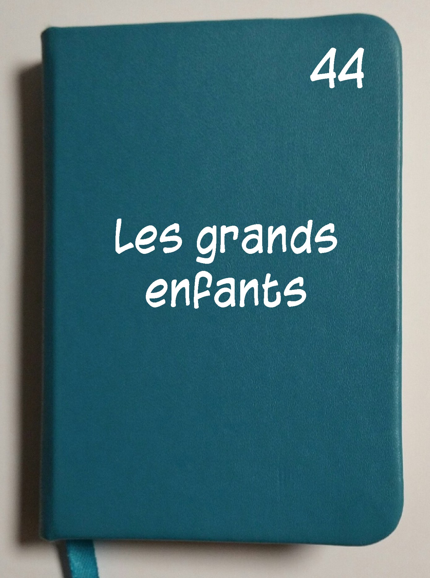 Carnet 44 - Les grands enfants