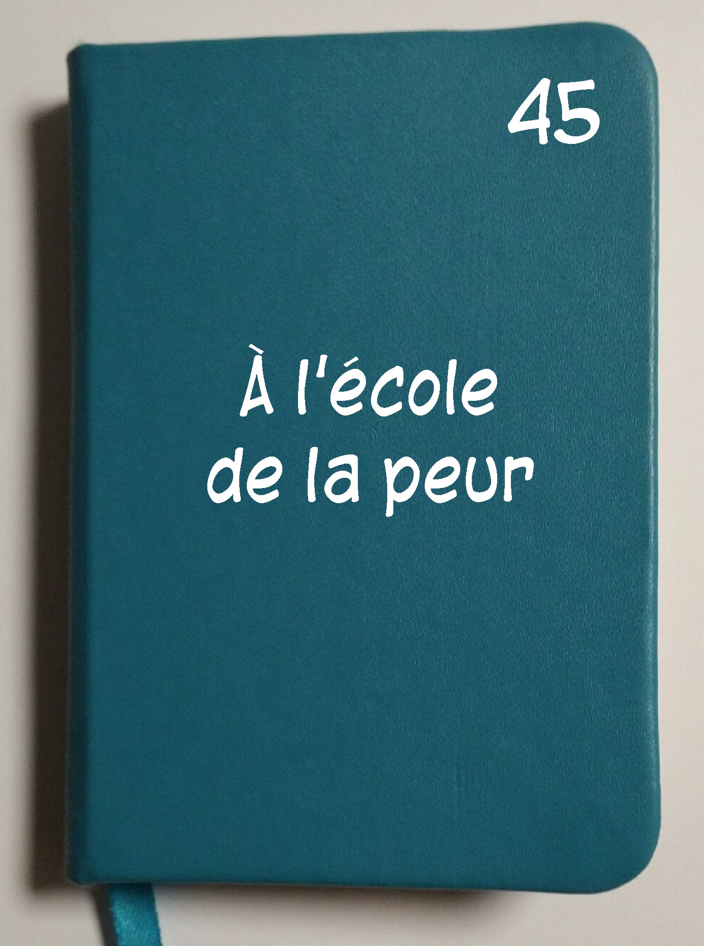 Carnet 45 - À l'école de la peur