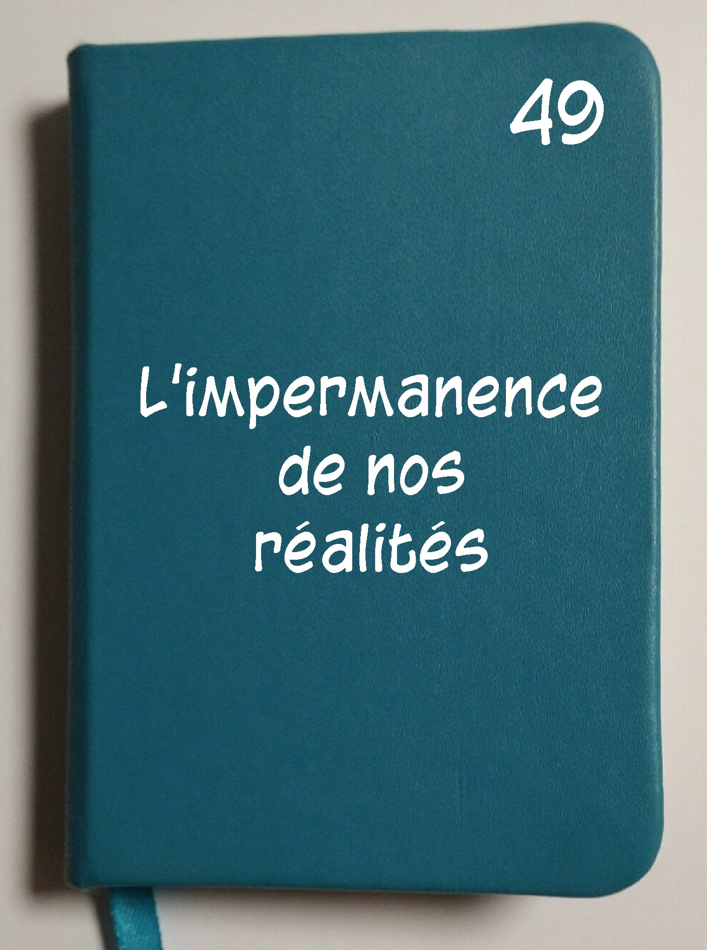 Carnet 49 - L'impermanence de nos Réalités
