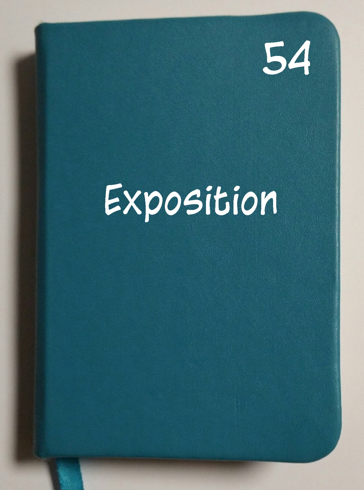 Carnet 54 - Exposition