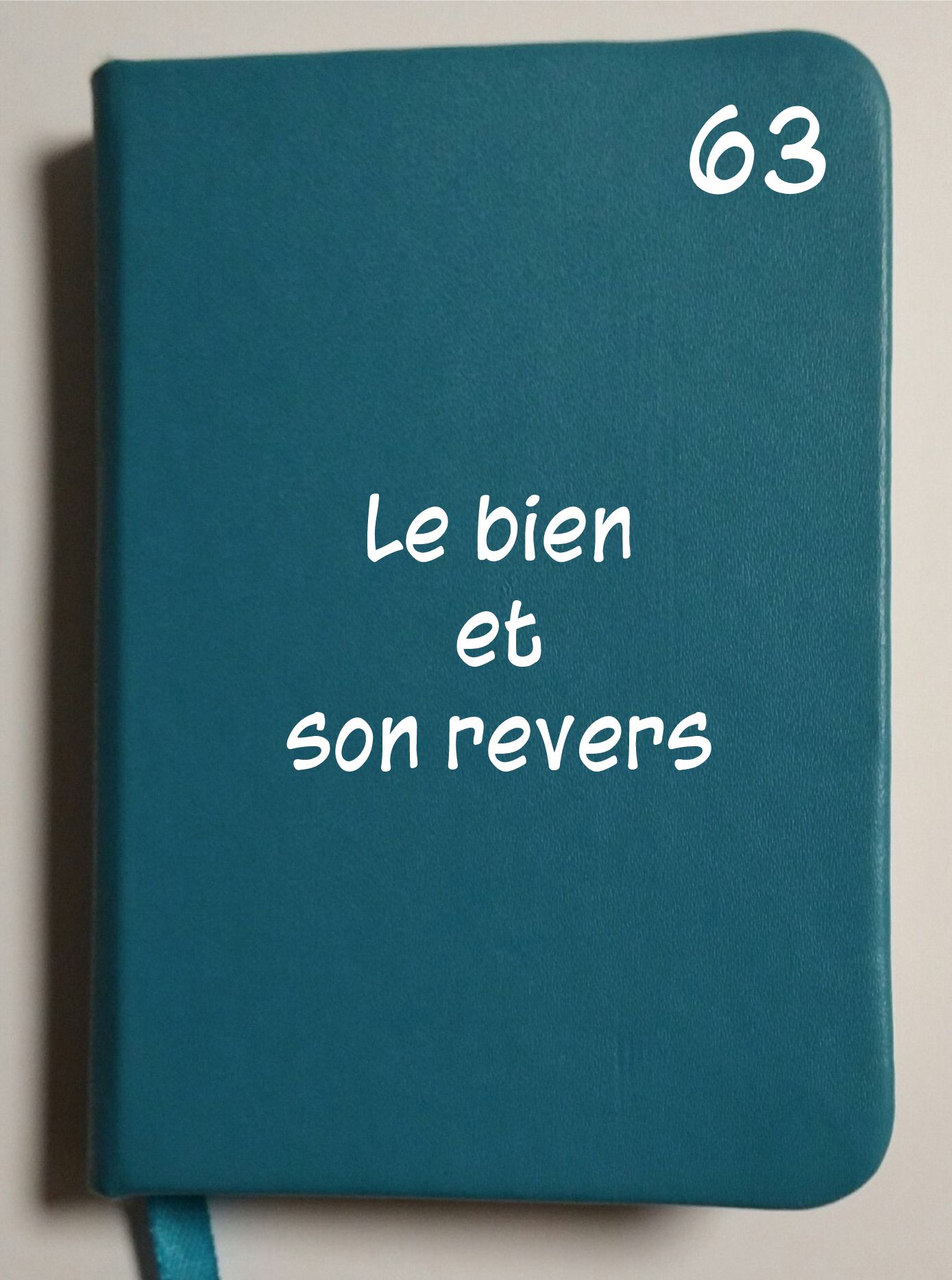 Carnet 63 - Le bien et son revers